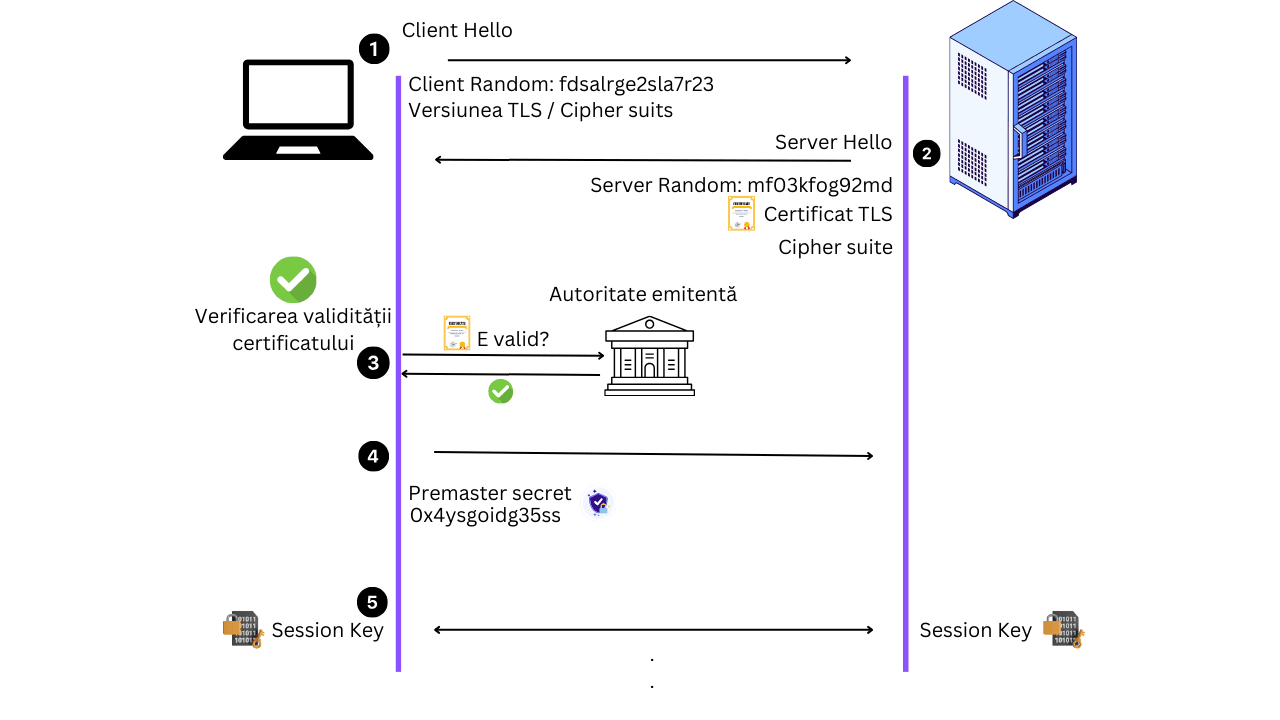 Schema TLS Handshake