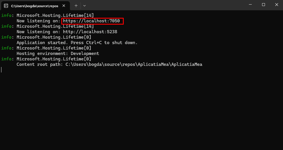 Pornirea aplicației în Visual Studio